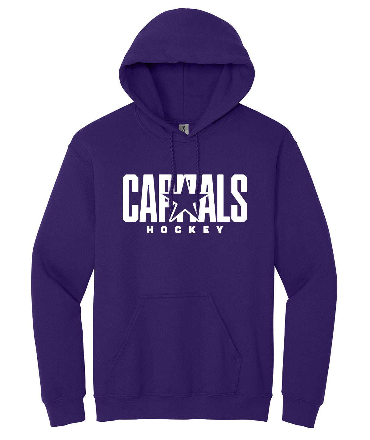 Des Moines Capitals Hooded Sweatshirt